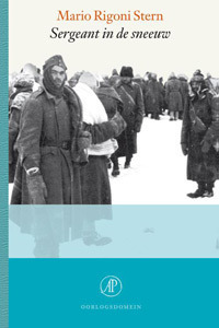 detail_Stern_-sergeant-in-de-sneeuw